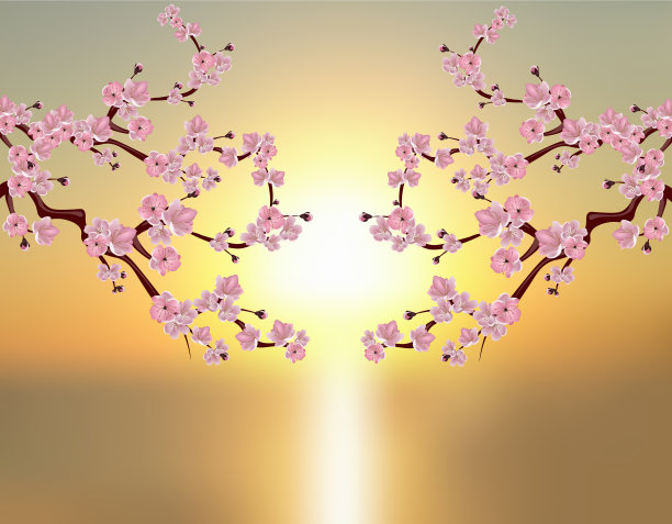 树枝上有粉红色的花和樱花的花蕾图片下载