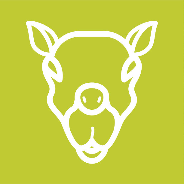 骆驼的脸图片下载