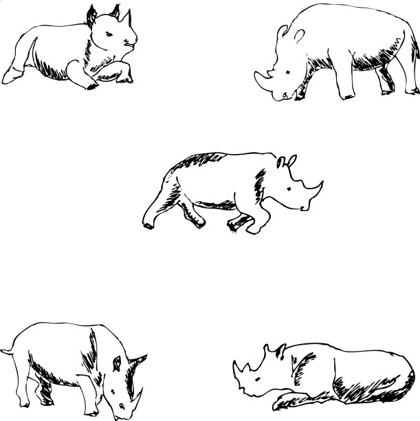犀牛手绘素描图片下载