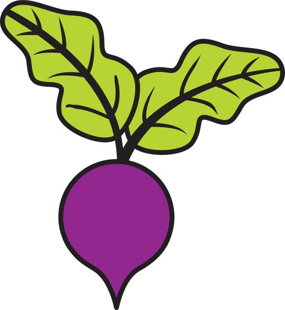 洋葱新鲜蔬菜孤立图标图片下载