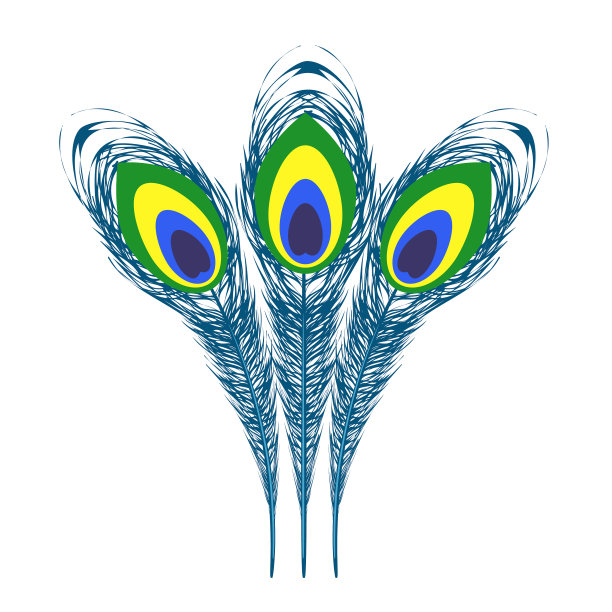 一套多彩的孔雀羽毛图片下载