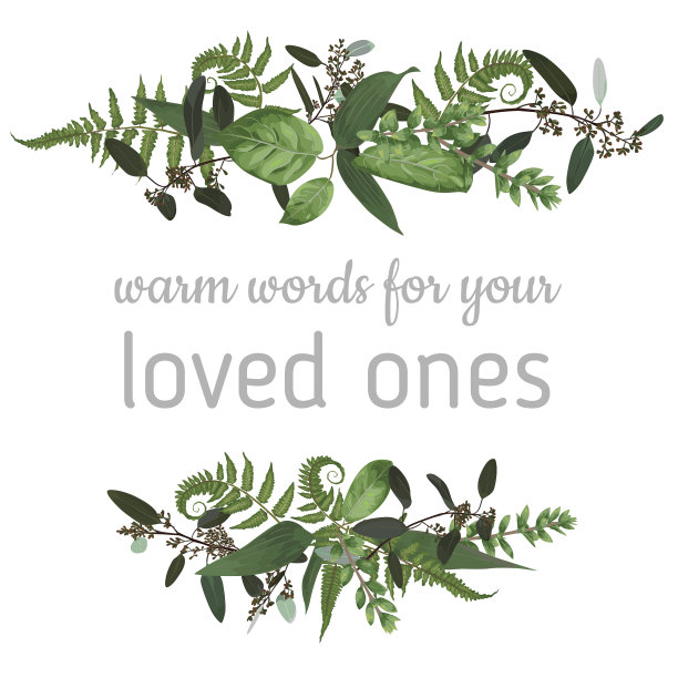 装饰框架与绿色森林蕨类图片下载