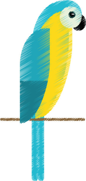 画蓝黄相间的金刚鹦鹉巴西图片下载