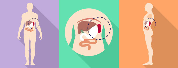 人脾图标设置扁平风格图片下载