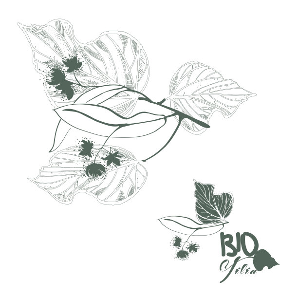 手绘菩提树枝与叶和花图片下载