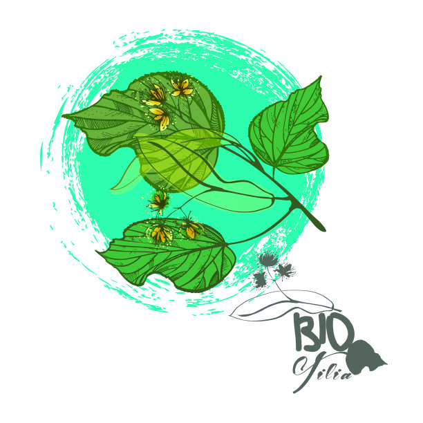 手绘菩提树枝与叶和花图片下载