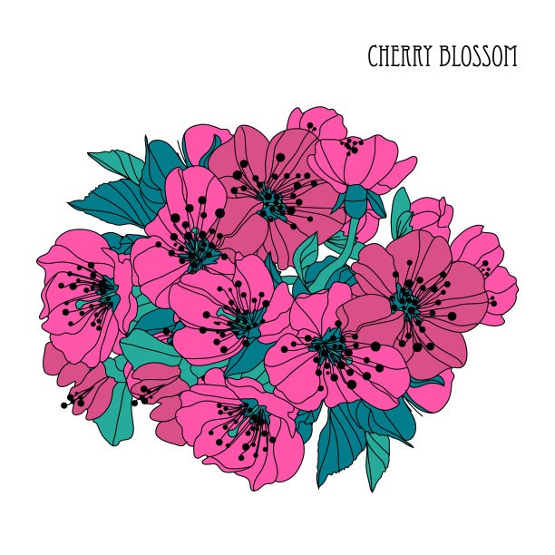 装饰性的樱花图片下载