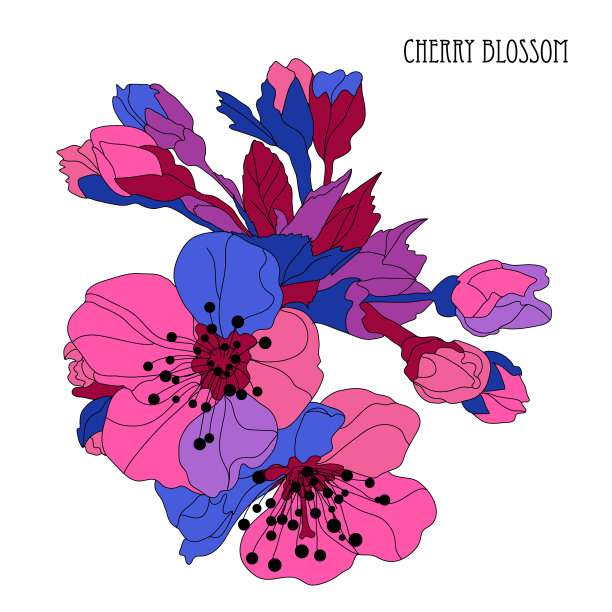 装饰性的樱花图片下载