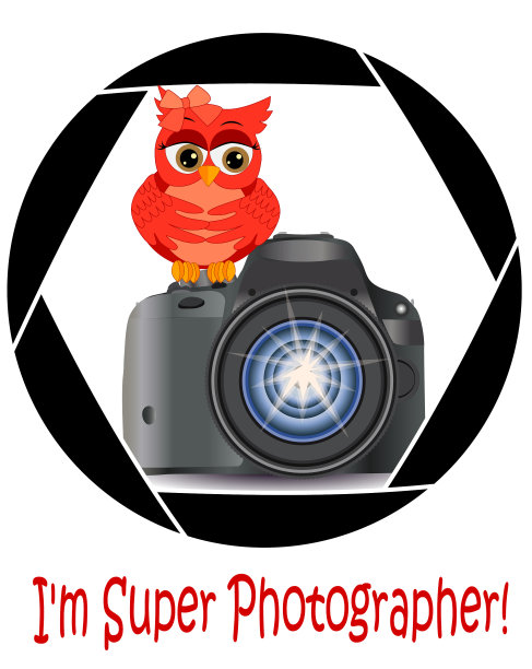 漂亮的卡通红色猫头鹰坐在按钮上图片下载