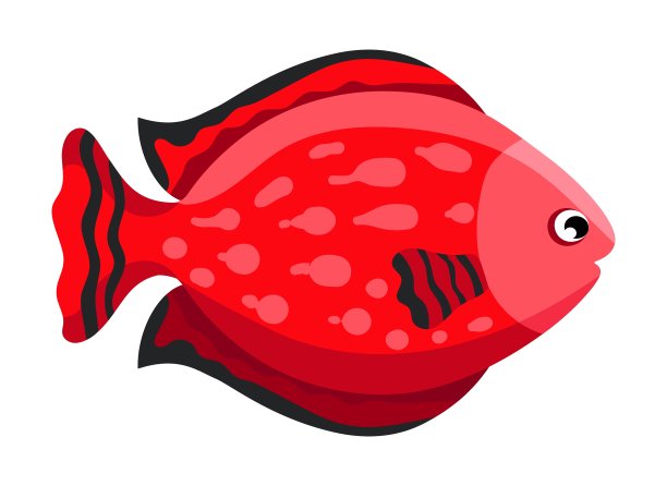 色彩斑斓的珊瑚礁热带鱼图片下载