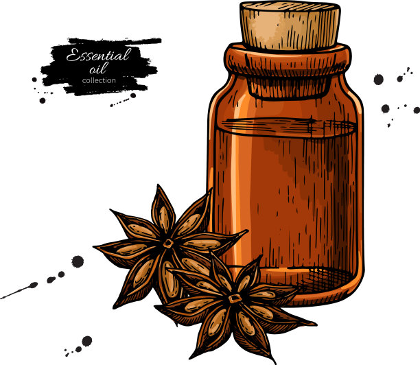 八角茴香精油瓶和香料堆图片下载