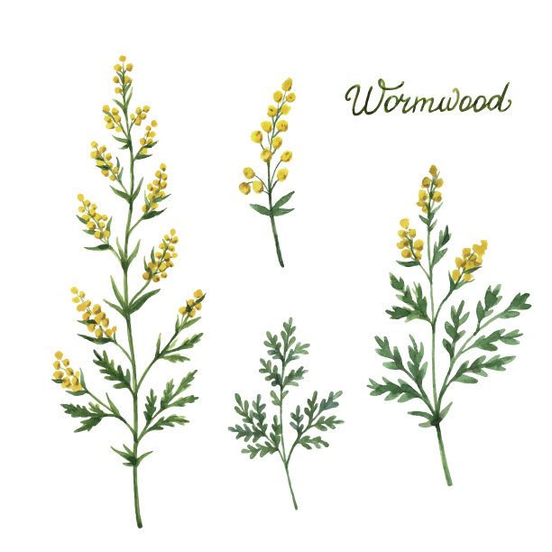 手绘植物水彩图片下载