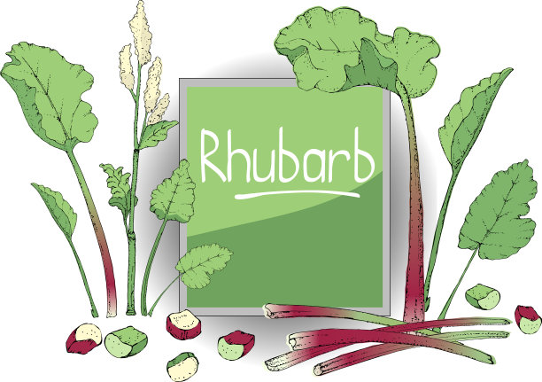 大黄蔬菜套装图片下载