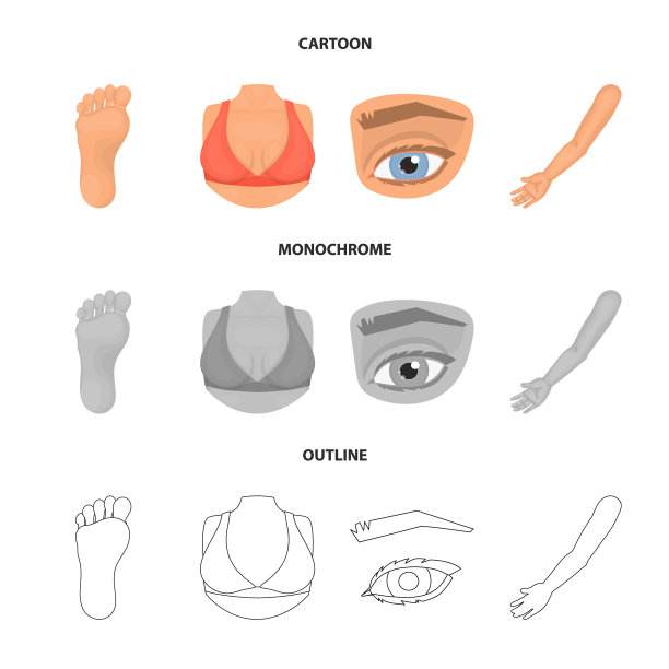 身体和部件图标图片下载