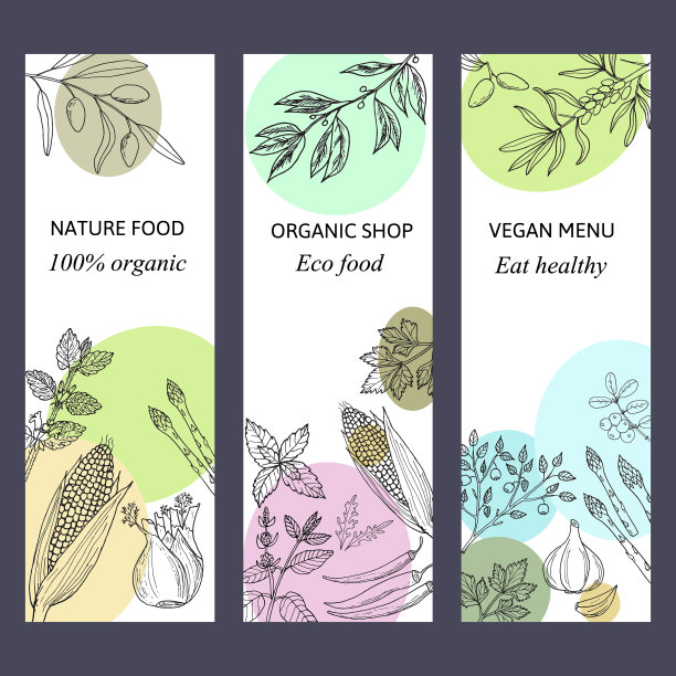 生态食品横幅设置水彩和手绘图片下载