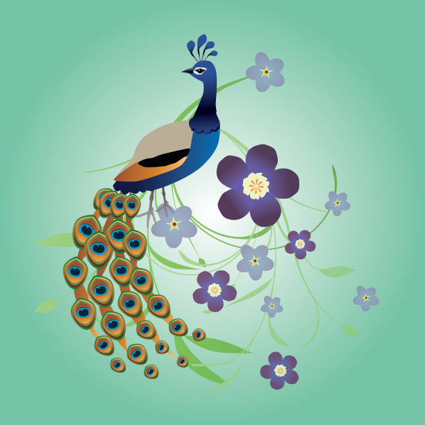 孔雀用鲜花图片下载