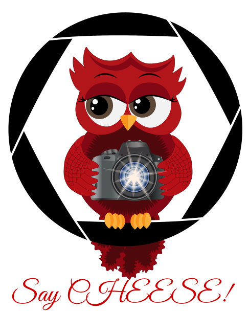 一只漂亮的卡通红色猫头鹰带着相机坐在上面图片下载