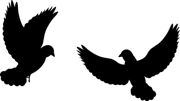 鸽子鸟黑色的剪影动物图片下载