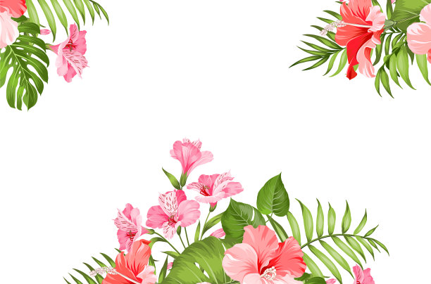 热带花花环孤立在白色图片下载