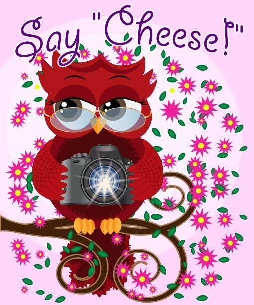 一只戴着眼镜、带着相机的红色甜猫头鹰坐在那里图片下载