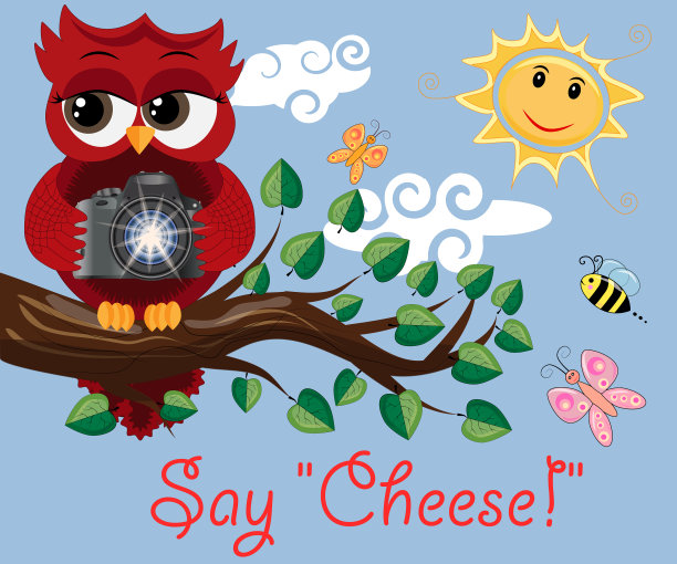 戴眼镜的红猫头鹰摄影师坐在树上图片下载