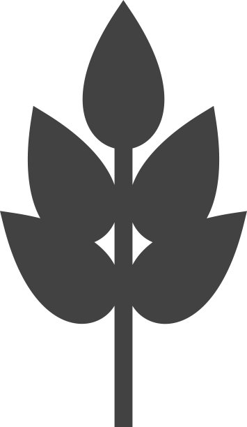 小麦图片下载