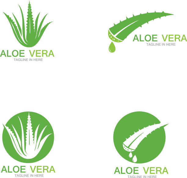 芦荟标识插图模板图片下载