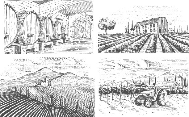 复古雕刻手绘葡萄园景观图片下载