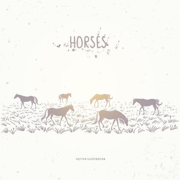 田野里的马图片下载