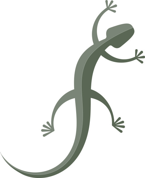 白色背景上孤立的绿色壁虎图片下载