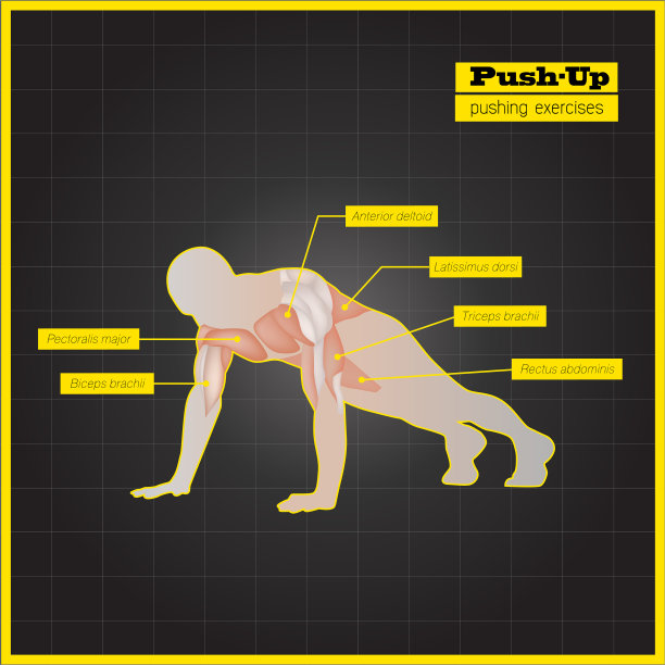 拮抗性肌肉运动和锻炼图片下载