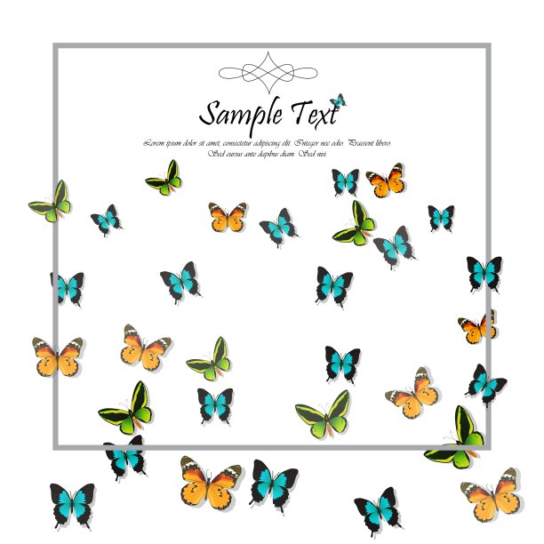 蝴蝶的春天背景图片下载