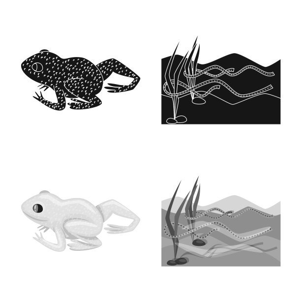 孤立对象野生动物和沼泽标志集图片下载