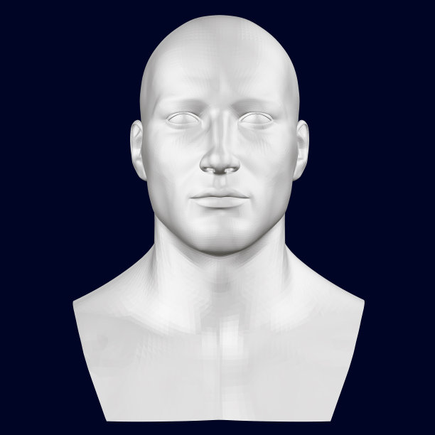 一个男人的半身像正面视图3d图片下载