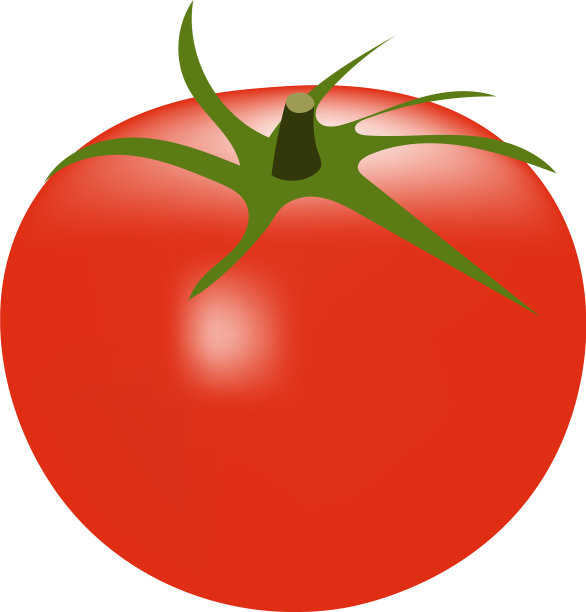 番茄图片下载