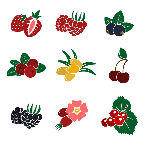 一套颜色程式化的浆果图标平坦图片下载
