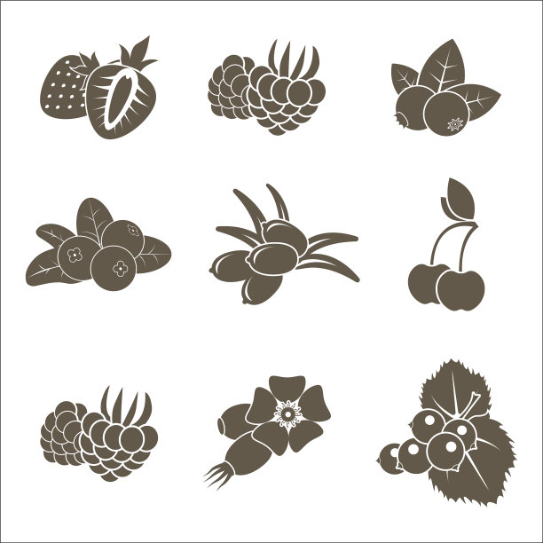 一套单色程式化的浆果图标平坦图片下载