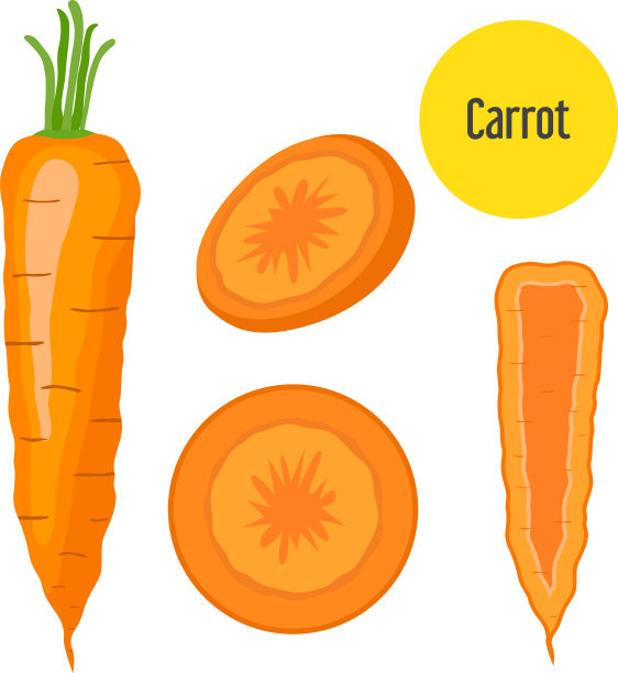 套红萝卜切片，红萝卜切平图片下载