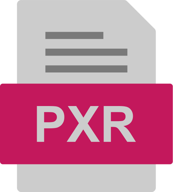 PXR文件文档图标图片下载