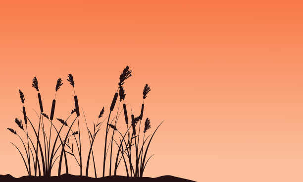 粗糙的草在日落景观的剪影图片下载