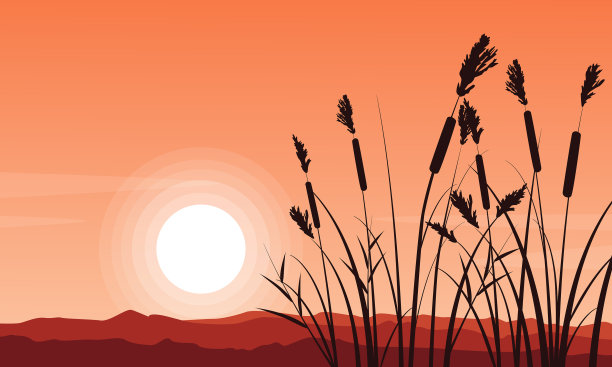 山上粗草的剪影图片下载