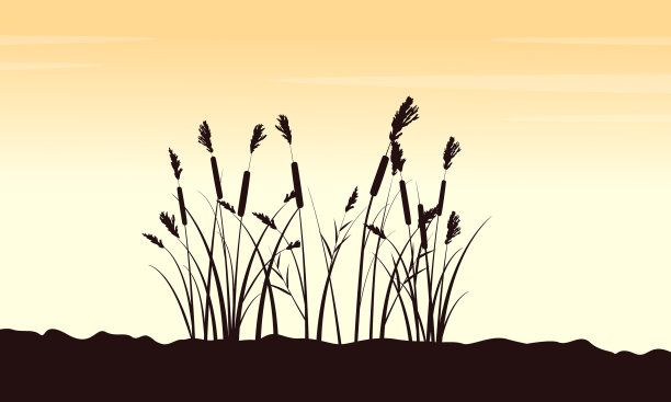 美丽的风景与草地剪影图片下载