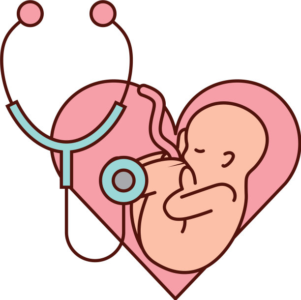 受精怀孕医学图片下载