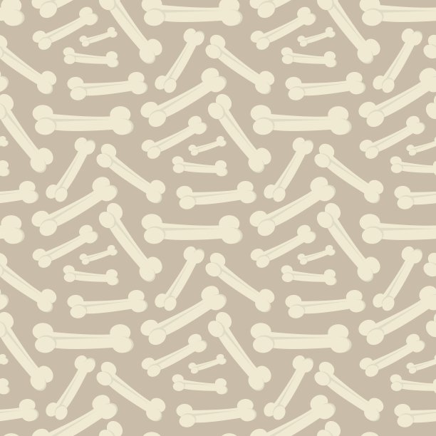 狗骨头模式图片下载