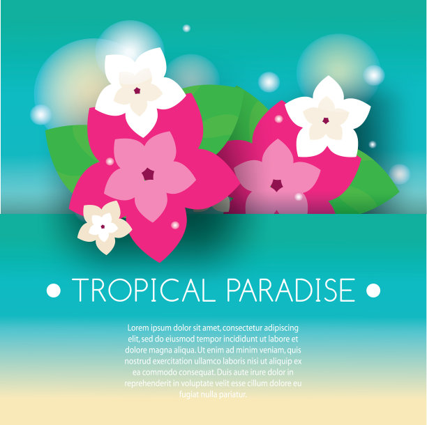 带有异国兰花花的热带旗帜图片下载