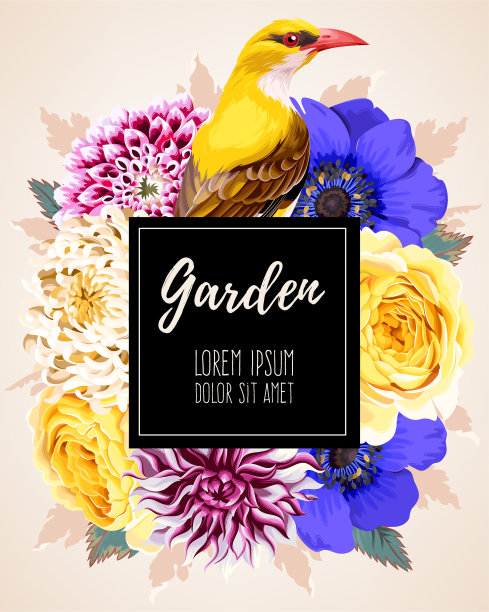 卡片和鲜花图片下载