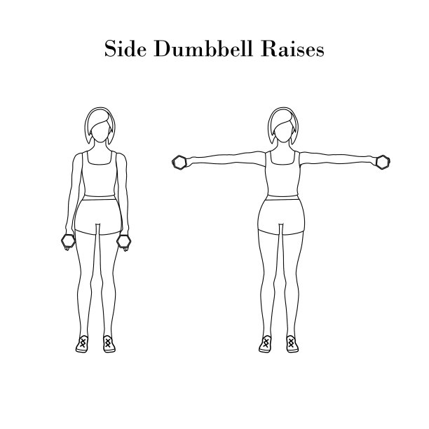 侧哑铃提练提纲图片下载