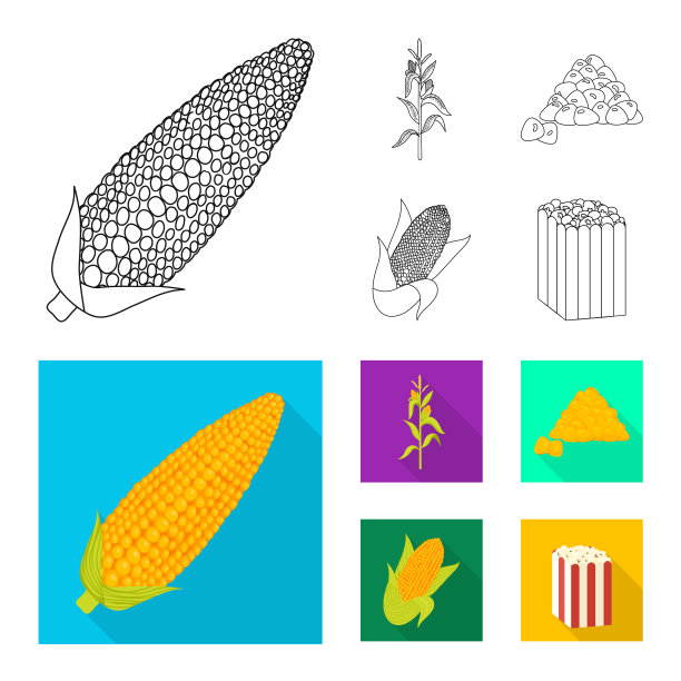 设计玉米地和蔬菜标识集图片下载