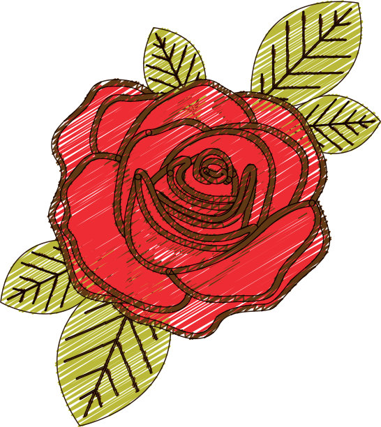 用彩色铅笔画一朵红玫瑰图片下载