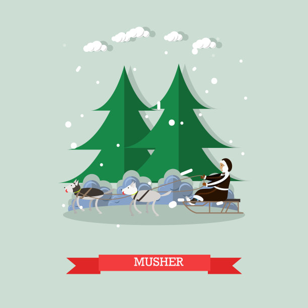 Musher骑着狗雪橇进来了图片下载